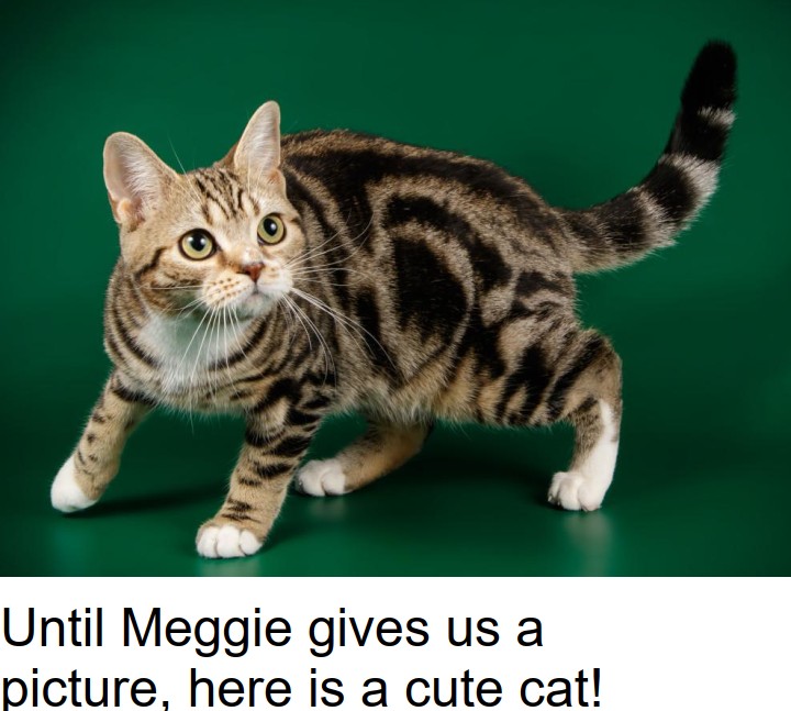 Meggie Pozzolo Articled Clerk